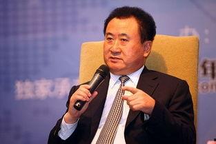 娱乐吃瓜酱王健林,从商业巨头到娱乐吃瓜酱王,揭秘他的跨界传奇